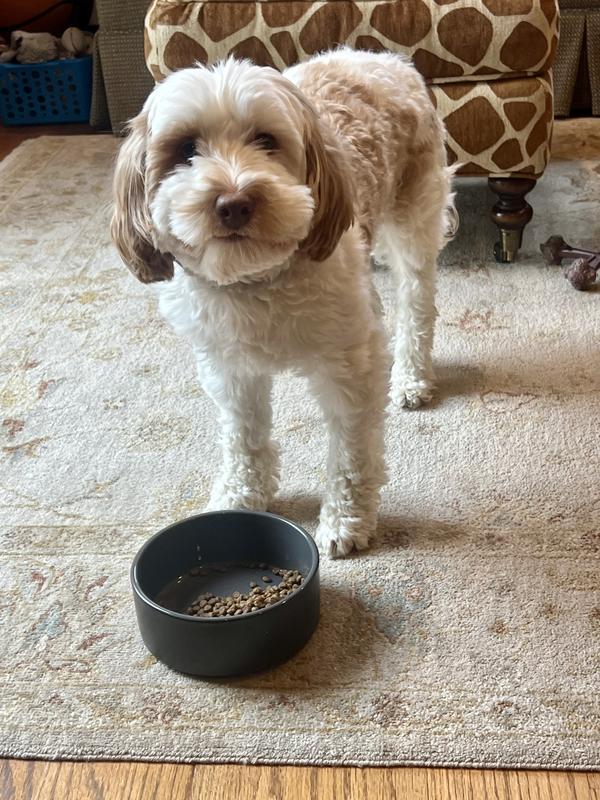 Mom, think I’m going to try my new, beautiful bowl!