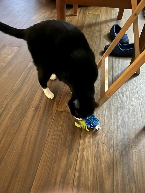 She likes it!