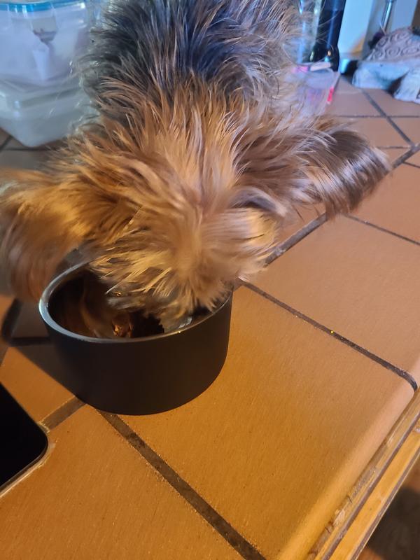 Making sure he gets all the food.