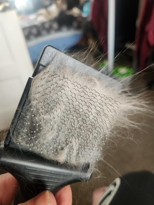 Excellent at loose hair or matts!