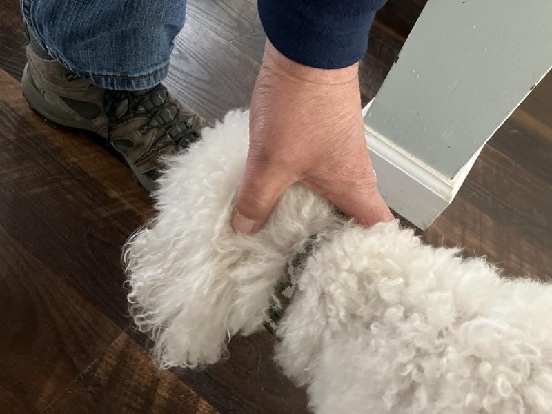 Fits great on a small guy.