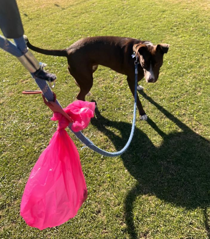Redy bag attachment with bag
