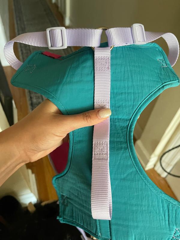 Short cross body/ over stomach strap