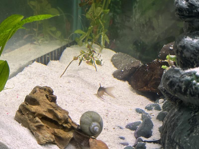 Our new cove