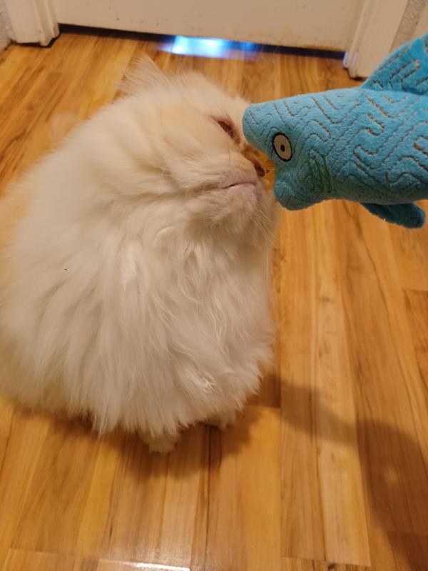Sniff sniff!