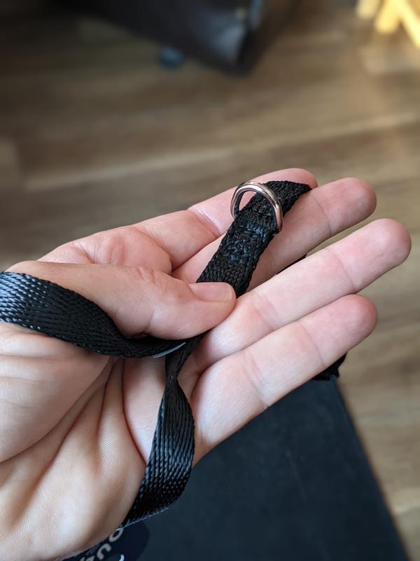 D ring is best feature for leashes and strangely can be hard to find!