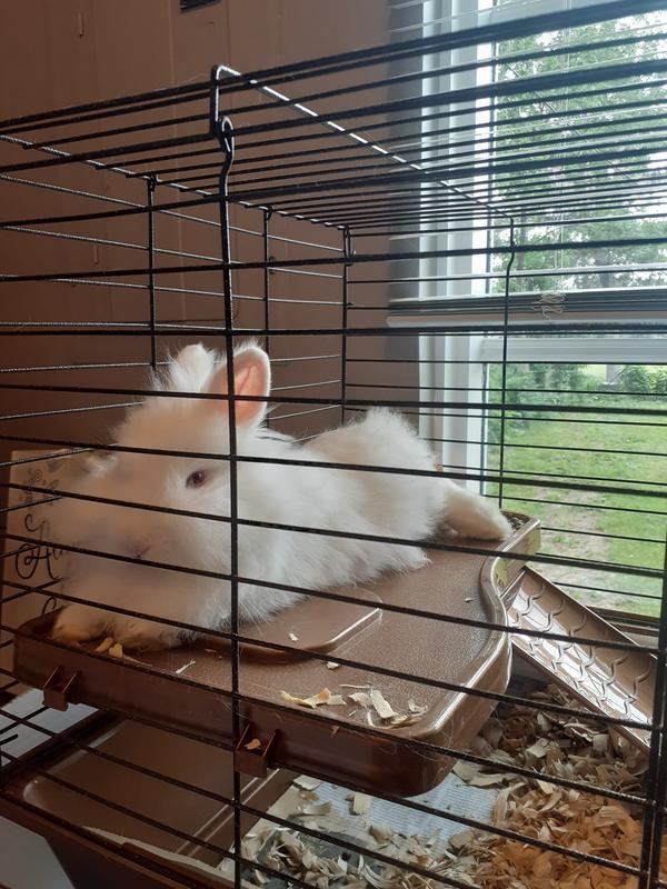 Loving her new place
