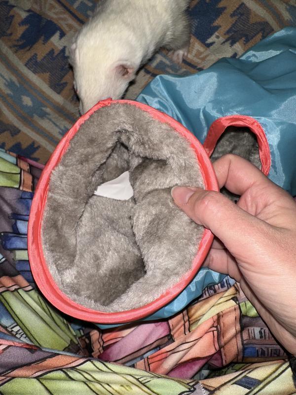 No tears or loose fur