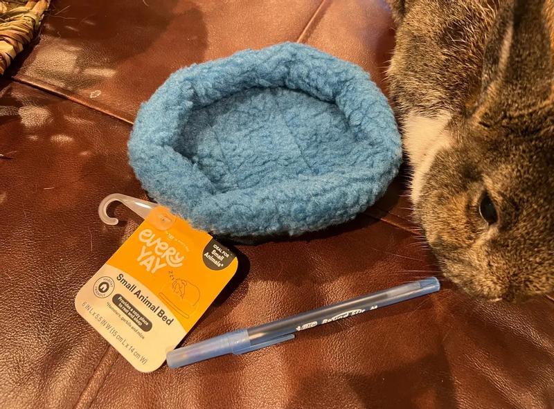 Pen for scale