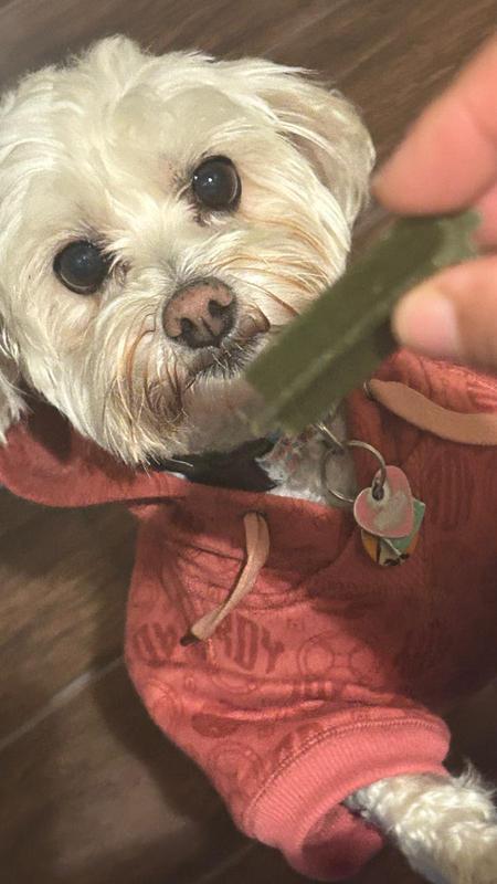 My dog loves it.