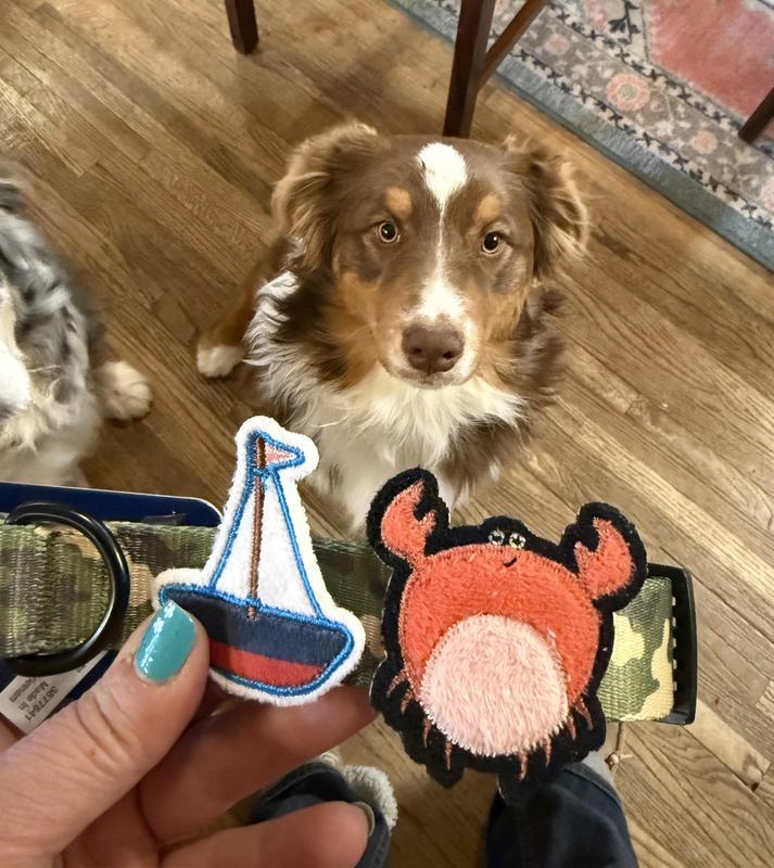Fits over large collar