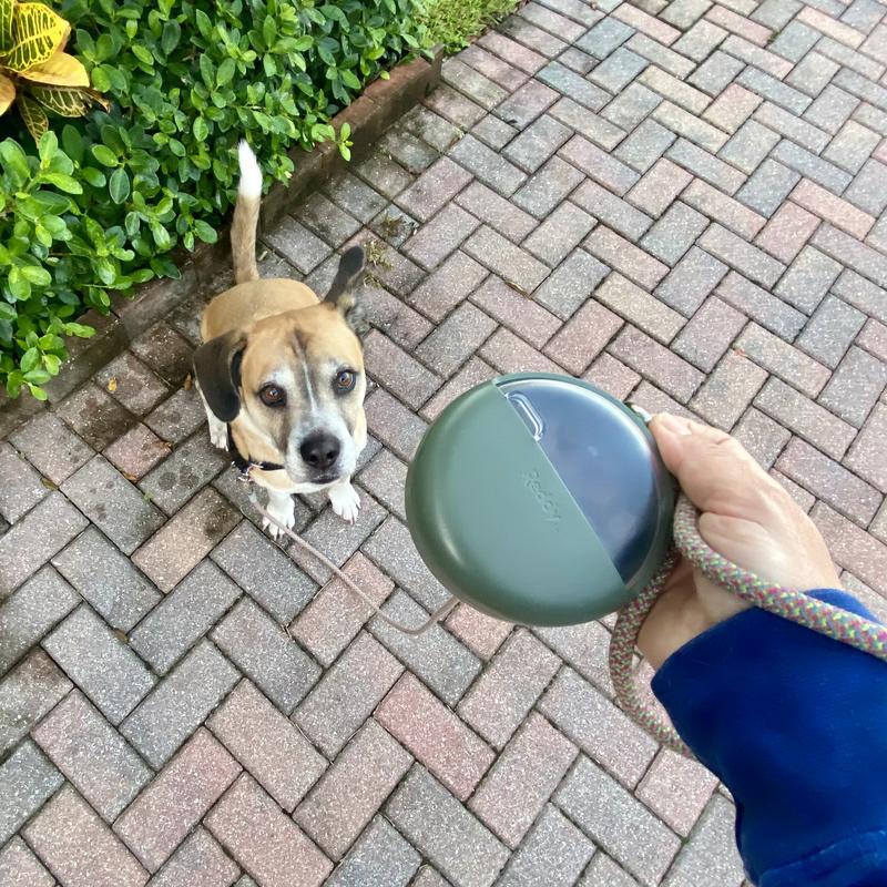 We like to rattle it to alert or pup to the tasty treat—no spilling.