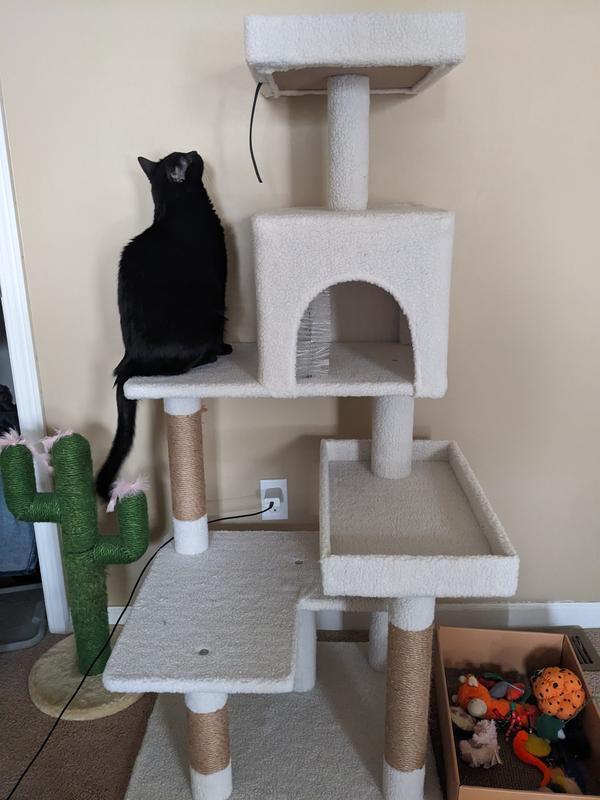 Cat tree, cat 2