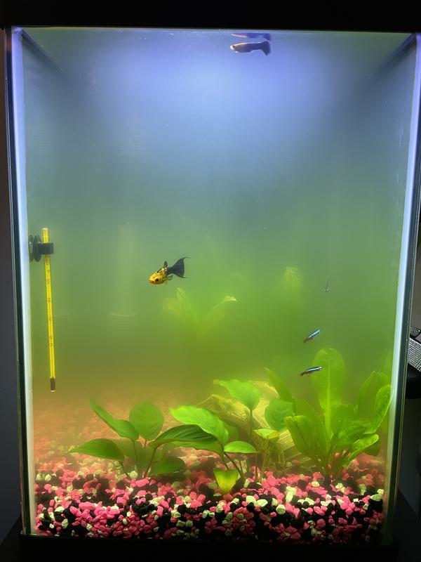 Day 1