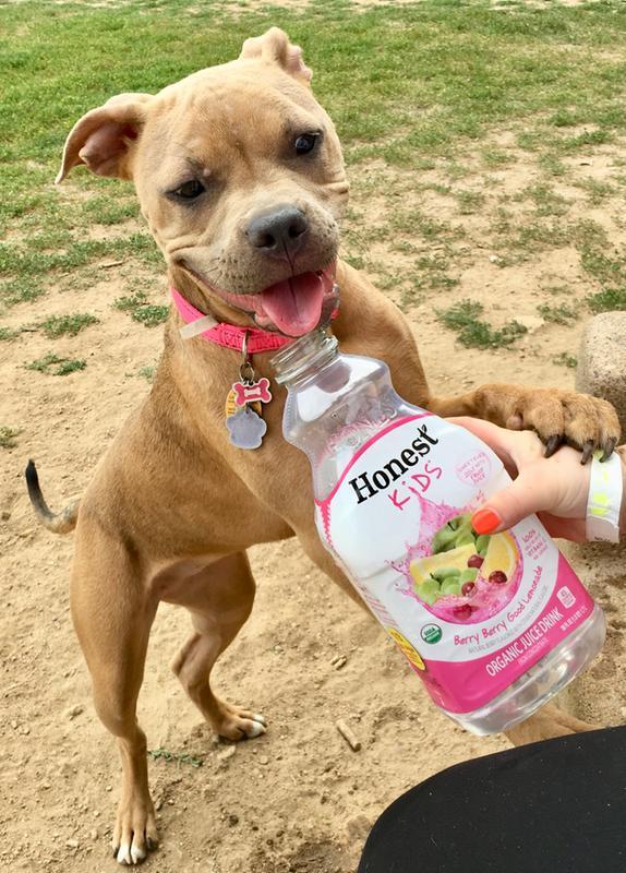 Photo - commentaire&nbsp;6.