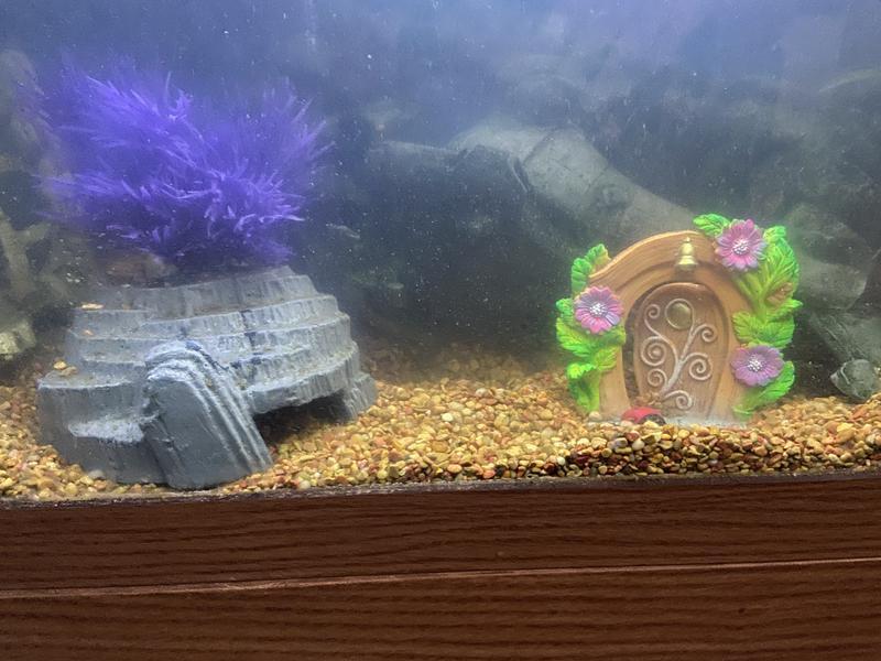 Blends well with other decorations from Petco