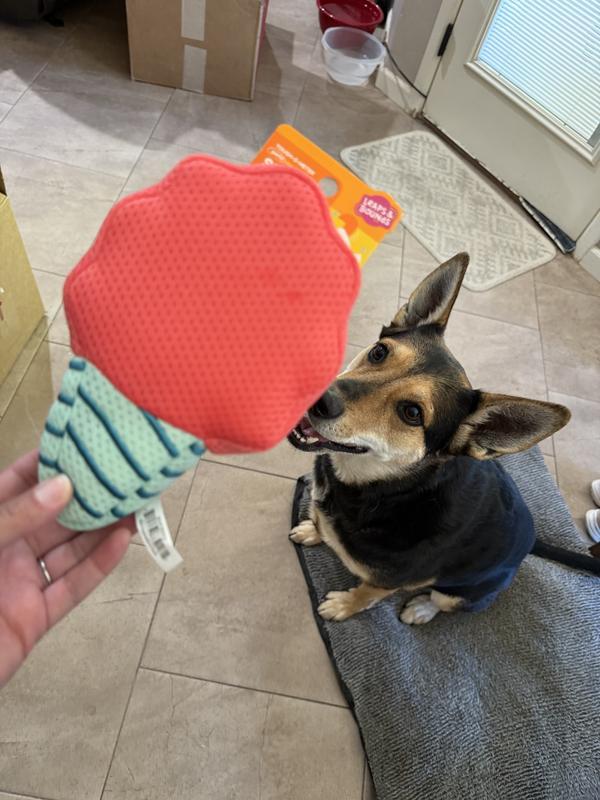 Happy doggy