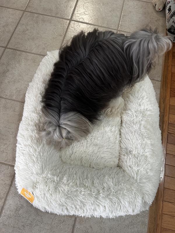 He chooses this Bed!