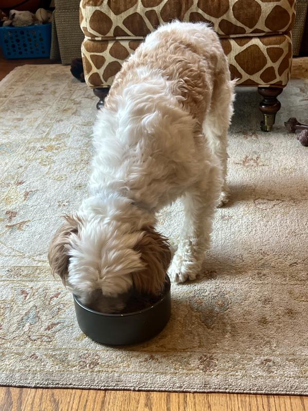 I am hungry!