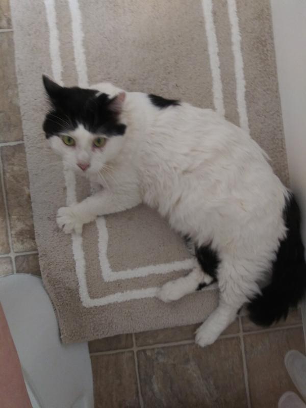 Photo - commentaire 2.