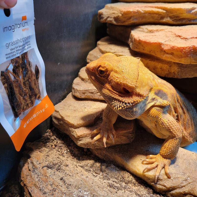 Nom nom his favorites