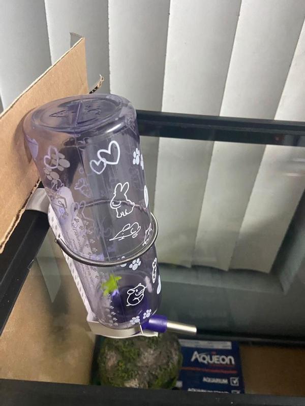 16 oz bottle