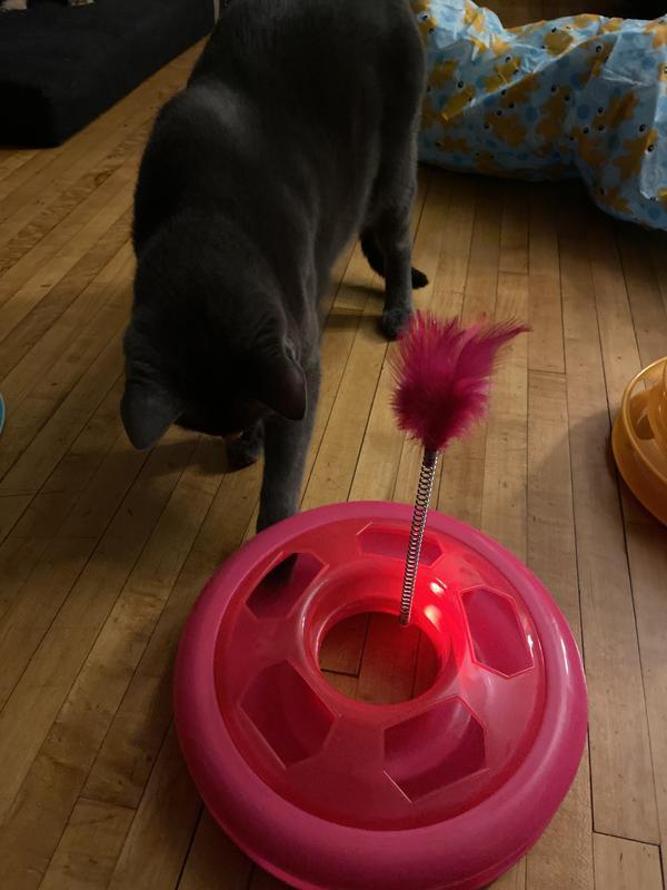 Photo - commentaire&nbsp;6.