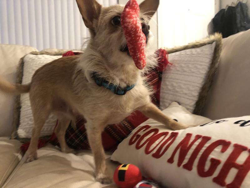 Photo - commentaire&nbsp;2.