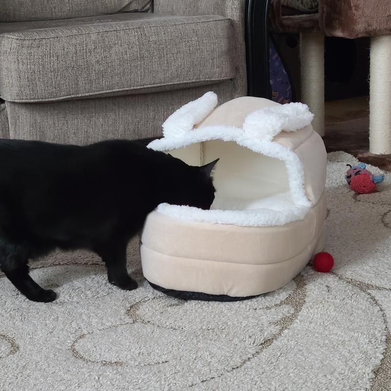 Sizing it up