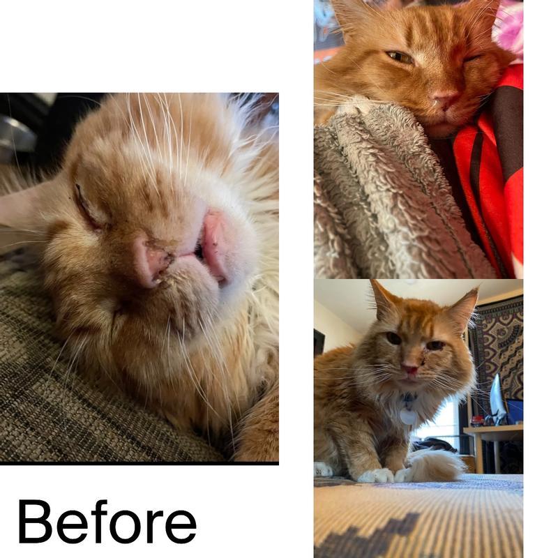 Before pictures