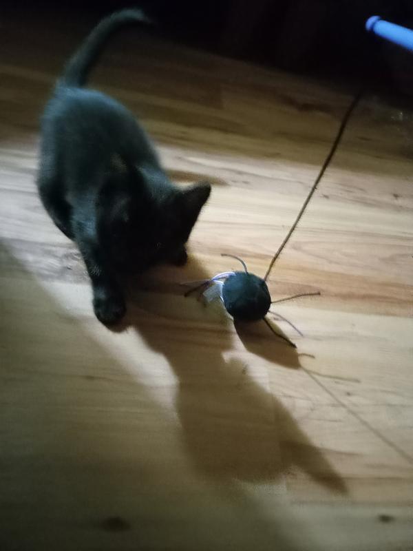 Photo - commentaire 2.