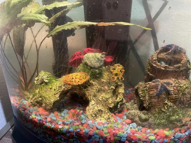 Imagitarium Aquarium Glass Scrubber & Scraper, 18"