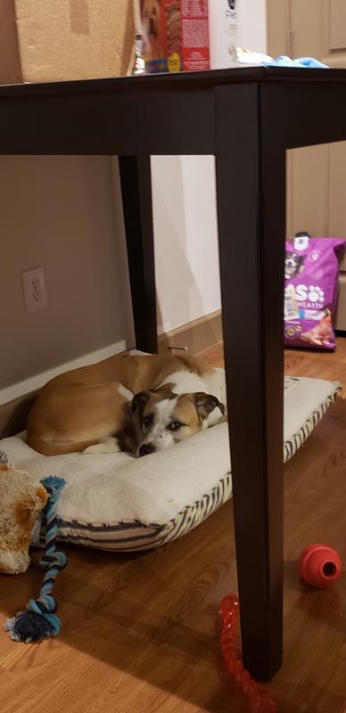 Photo - commentaire&nbsp;3.