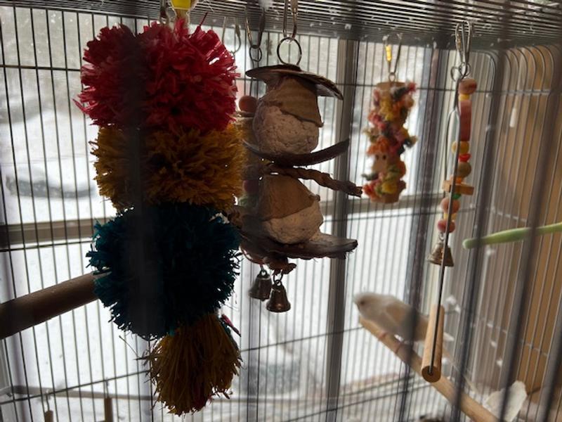 Toy in foreground