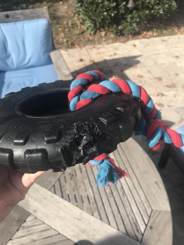 It didn't take her a lot of effort (or a lot of time) to take a huge chunk out of it.