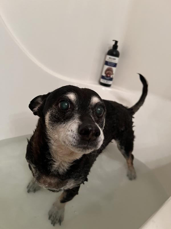 Bath Time!