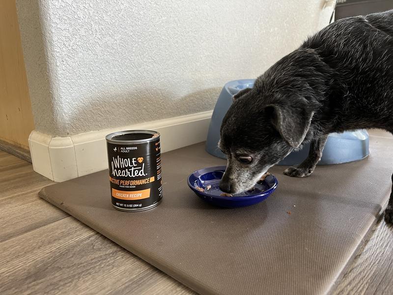 Both of my dogs loved it!