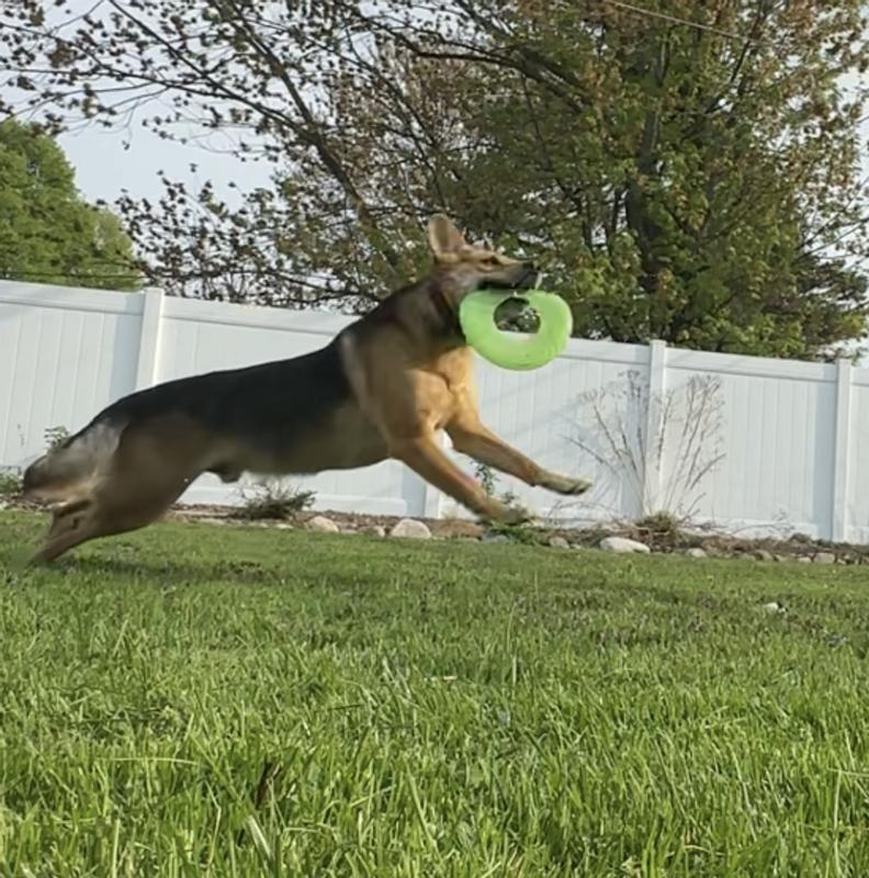 Catch!