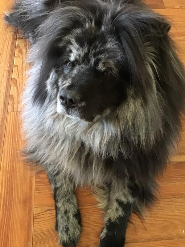 Photo - commentaire&nbsp;2.