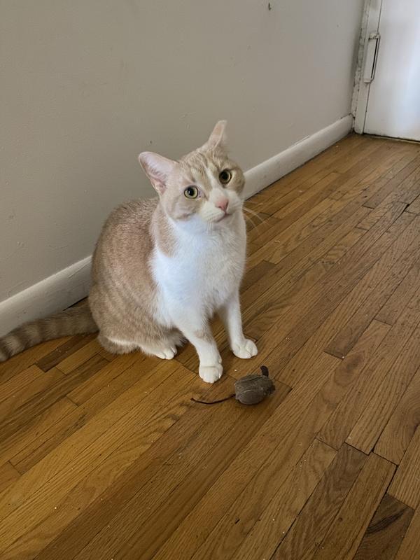 he was not in the mood to be a very good model
