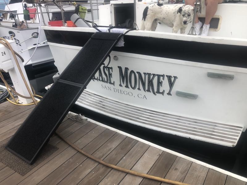 Ramp up to the boat — notice the steps to the right are not dog-friendly.