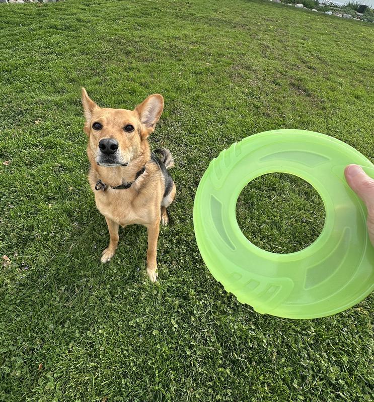 Waiting for a throw