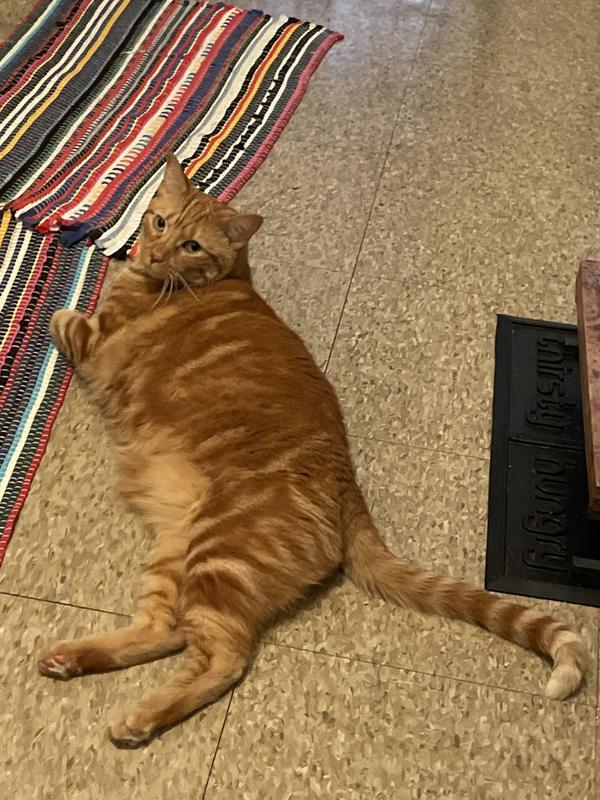 For size reference