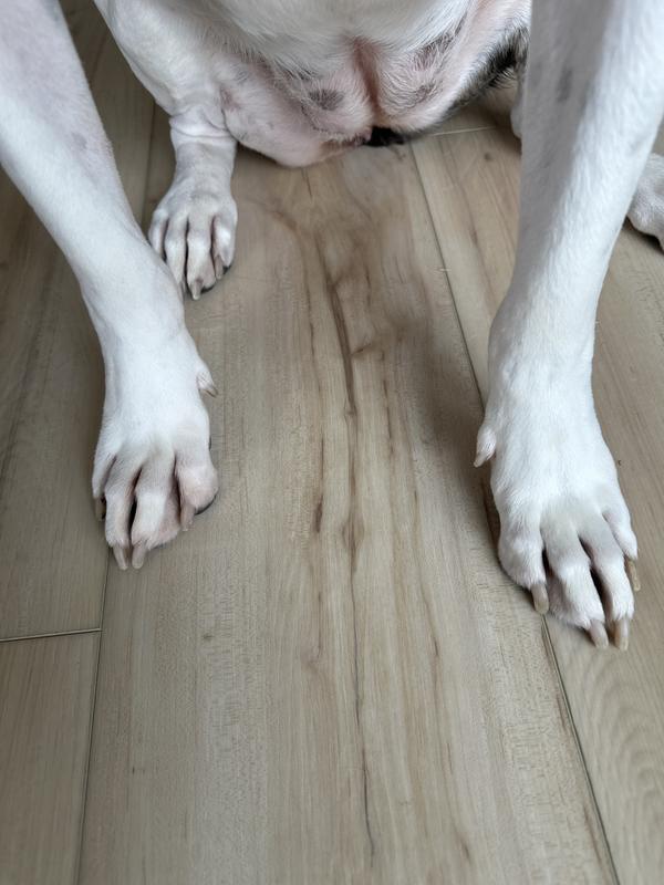Right paw cleaned