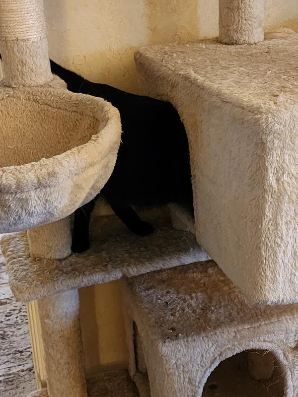 Magic wants to know what smells yummy.