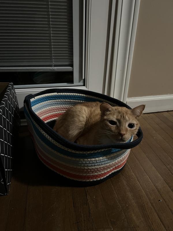Love my new bed