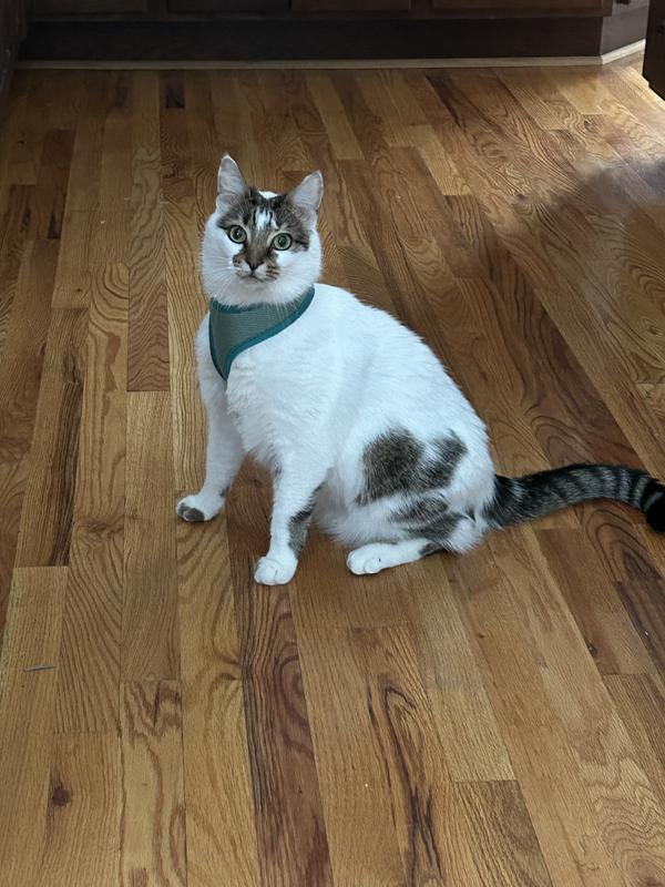 I’m all dressed and ready!