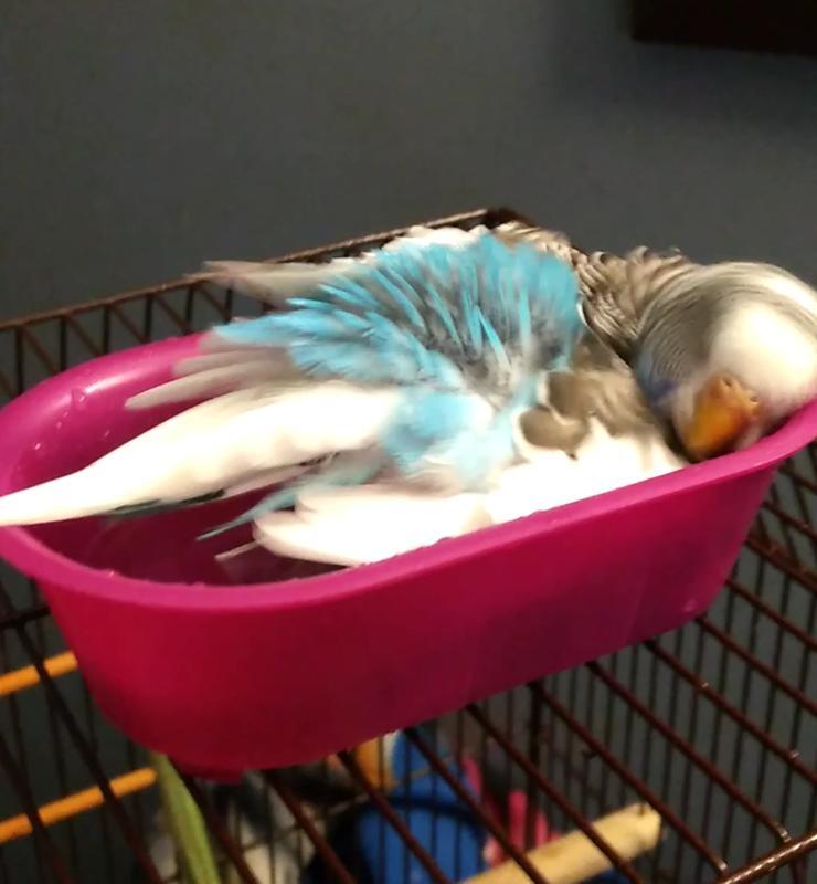She loves it