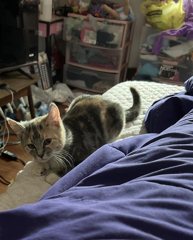 At my brother’s house