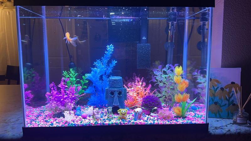 It has 2 light settings - regular and black light